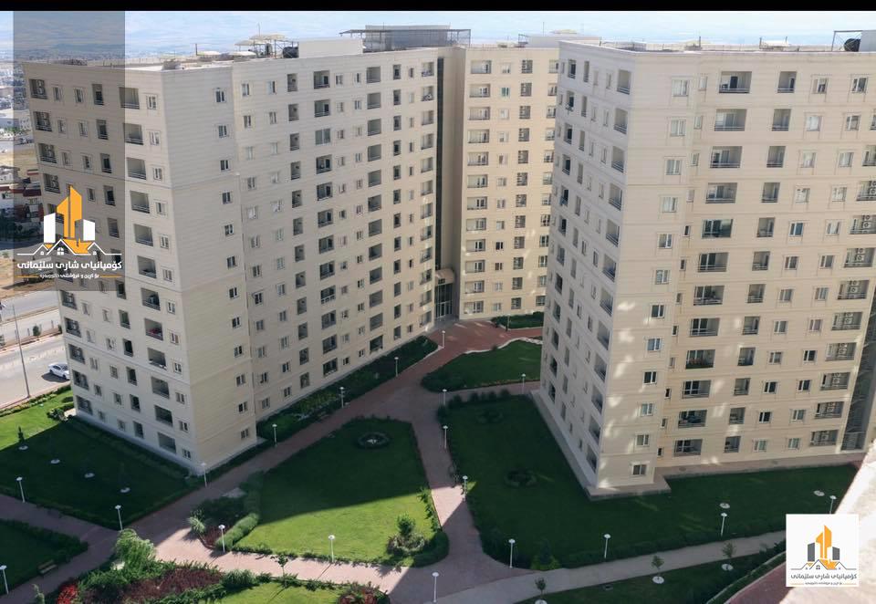 shari slemani